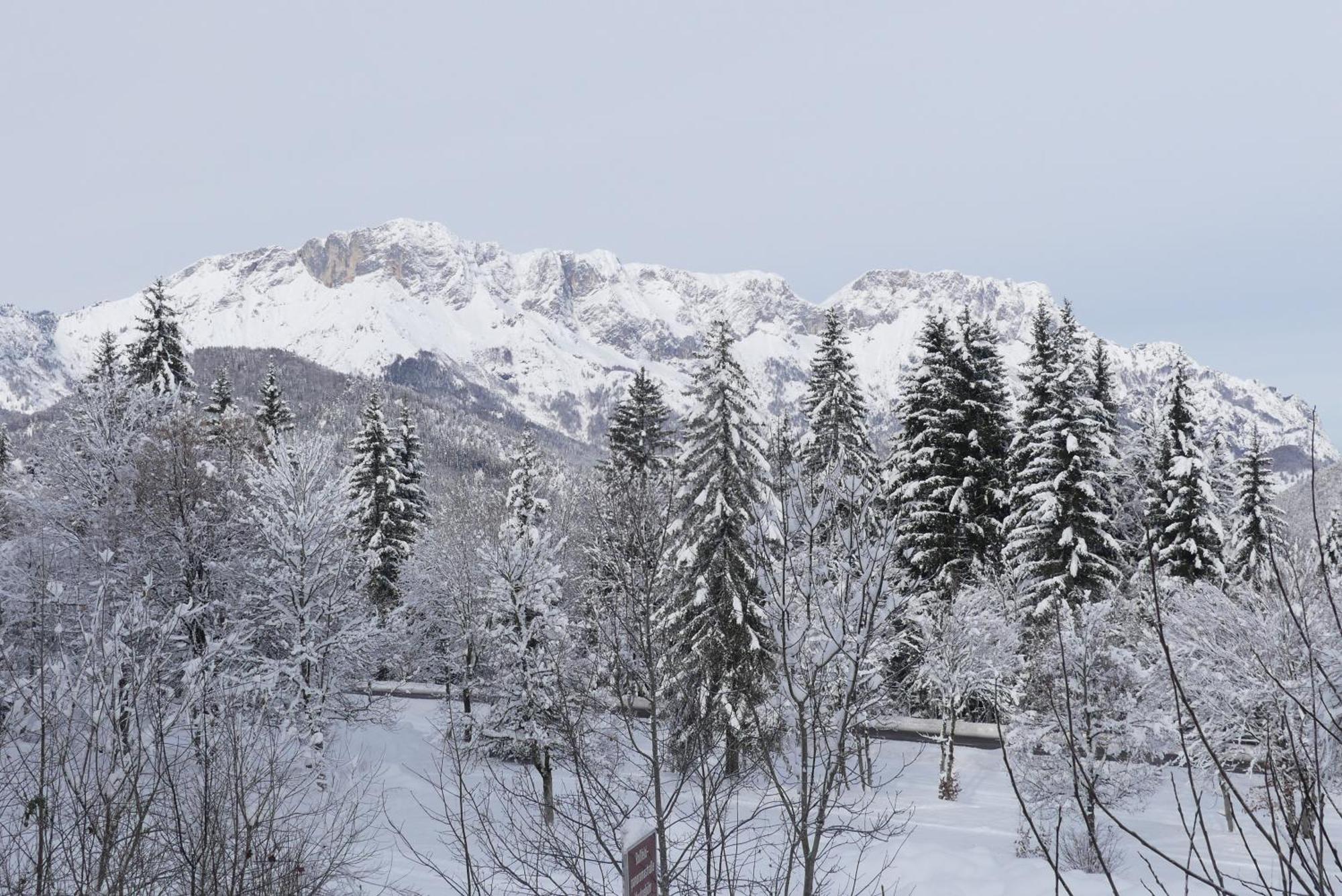 Ferienwohnung Haus Elisabeth, Ahornkaser Berchtesgaden Exteriér fotografie